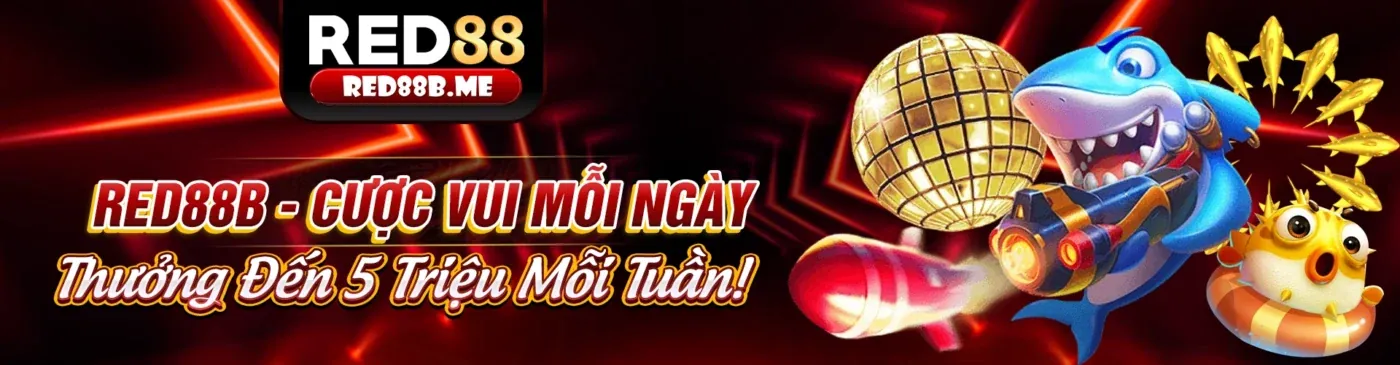 Hình ảnh đại diện cho chính sách quyền riêng tư của Fun8 link mới